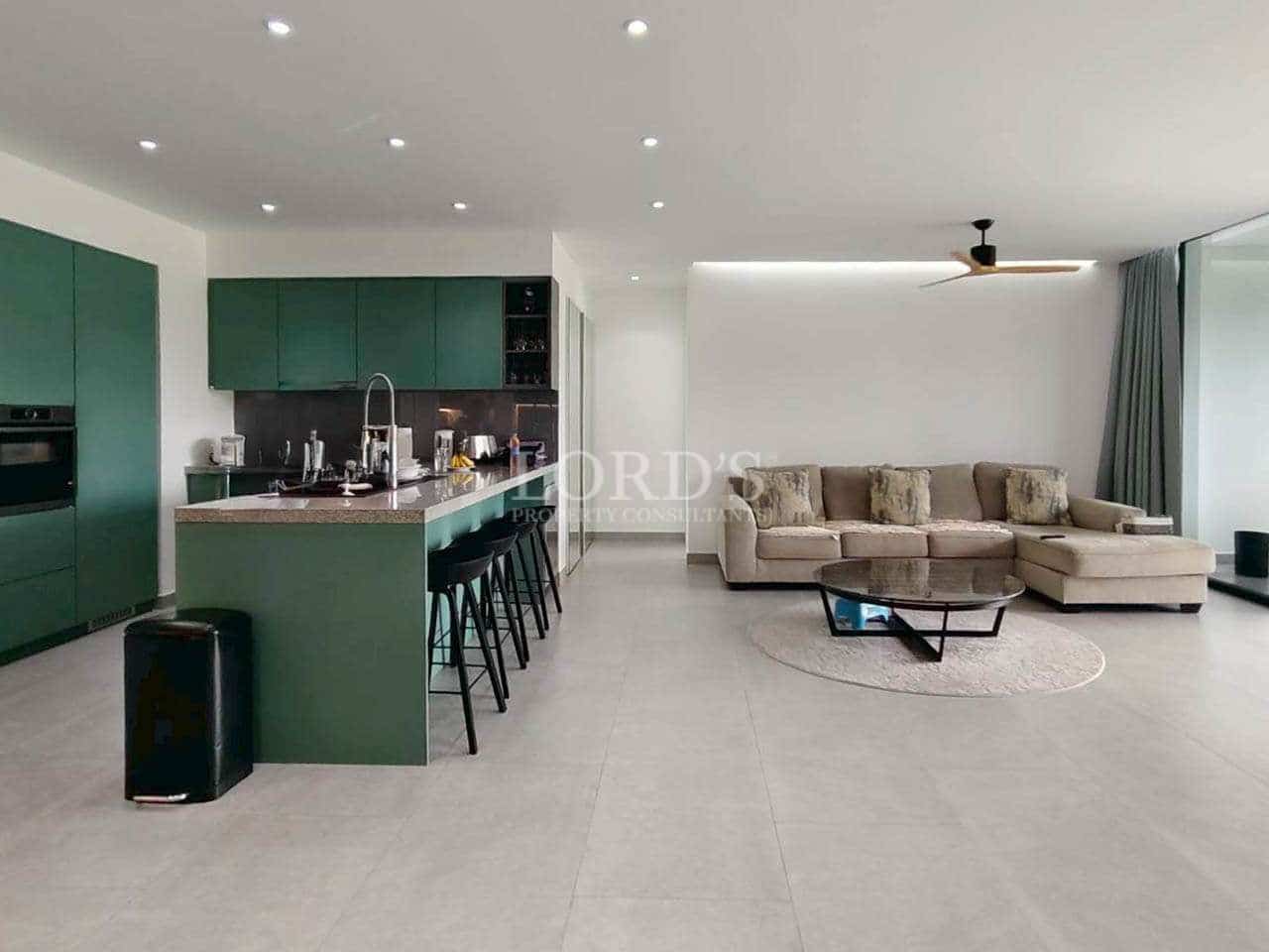 Modern kitchen and living room design