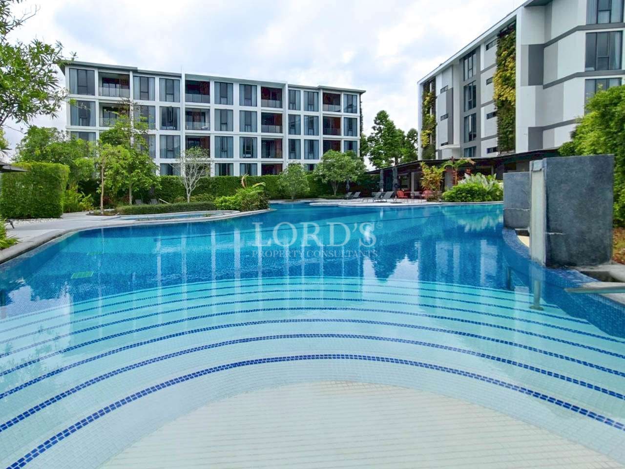 Modern pool with lush surroundings