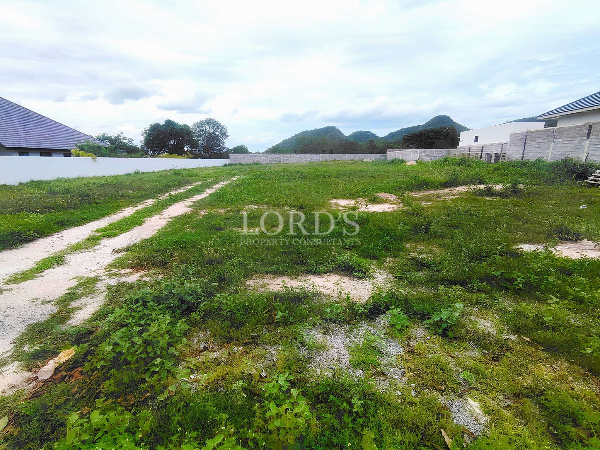 Vacant land with green vegetation.