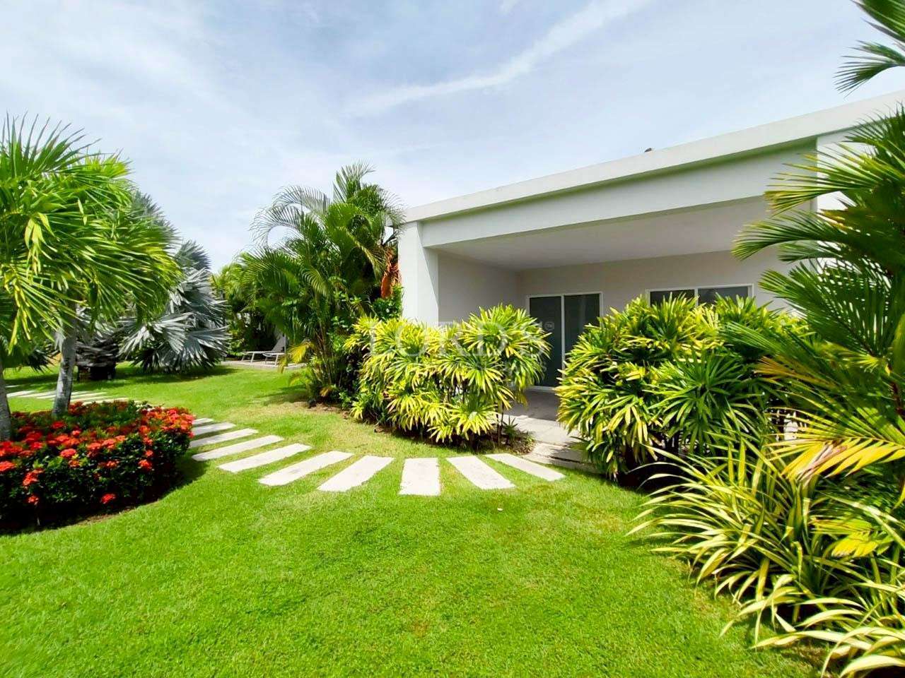 Lush garden with modern architecture.