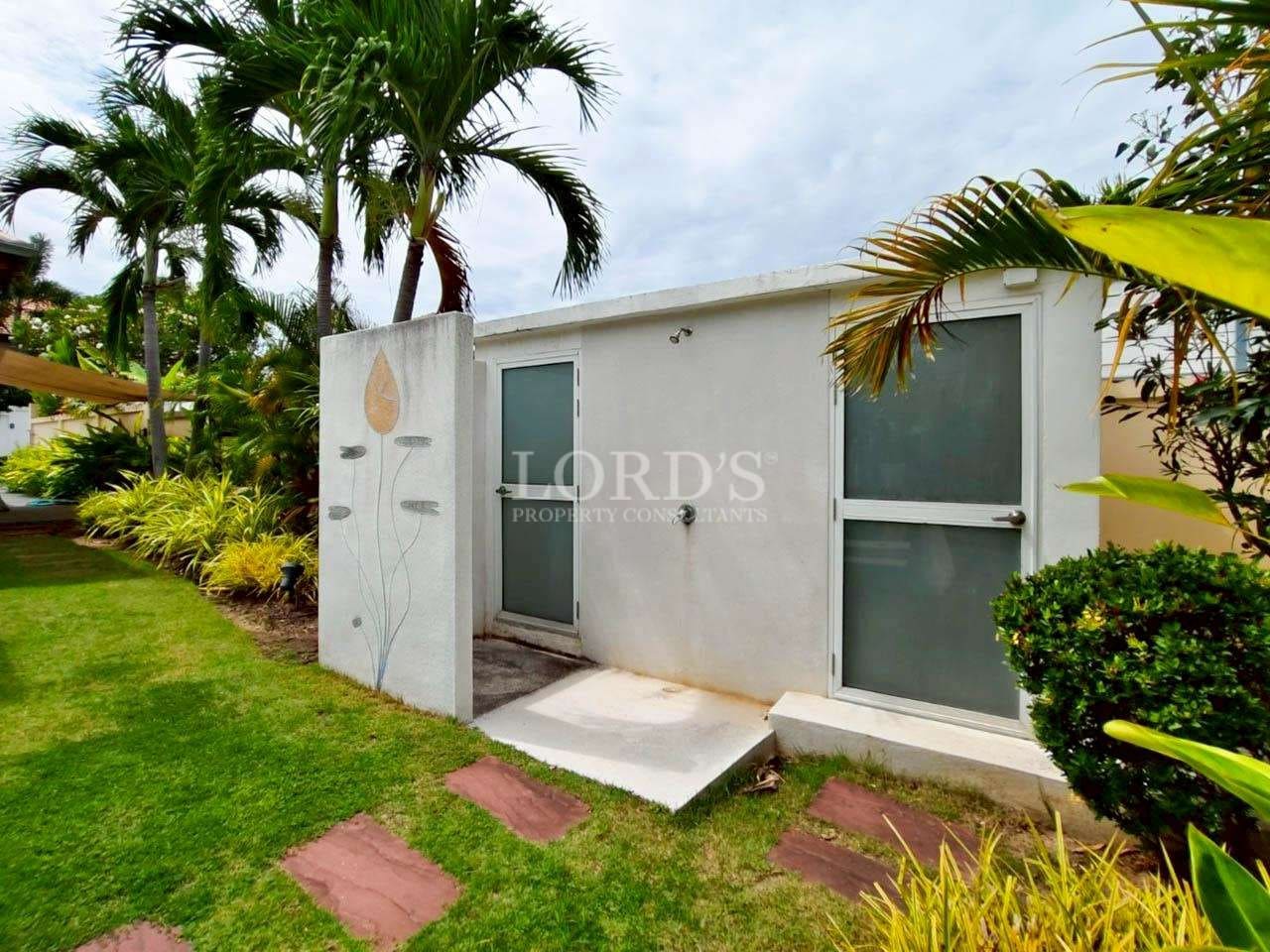 Modern garden shed with tropical plants
