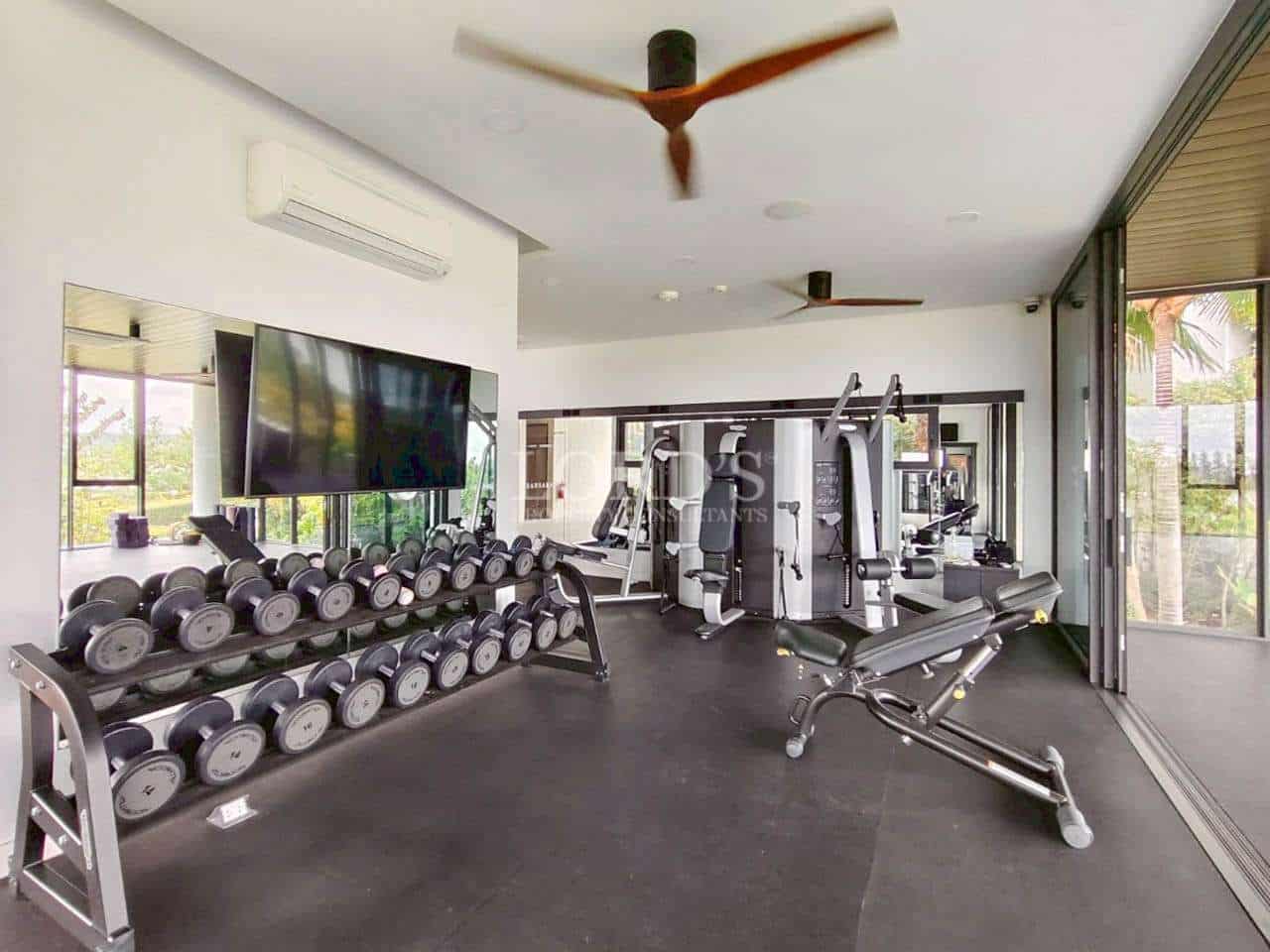 Modern home gym with dumbbell rack, workout machines, and large windows.