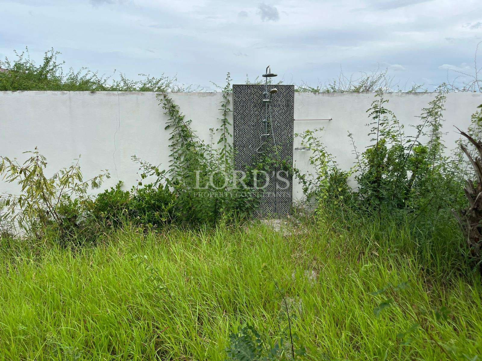 Overgrown grass near a stone structure