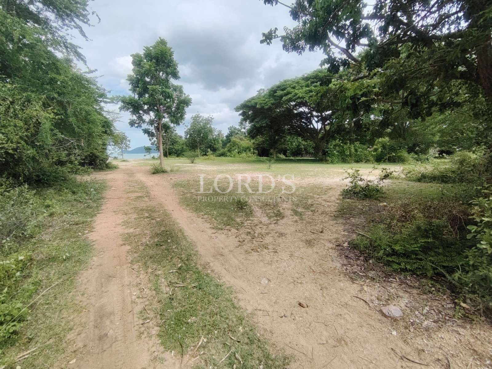 Open land with dirt access road surrounded by mature trees and lush greenery under a cloudy sky.