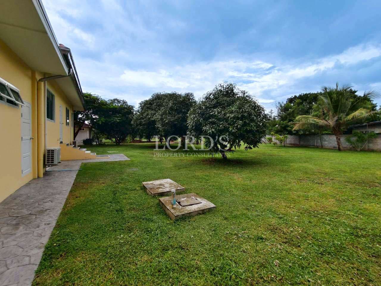 Green lawn with trees and sky