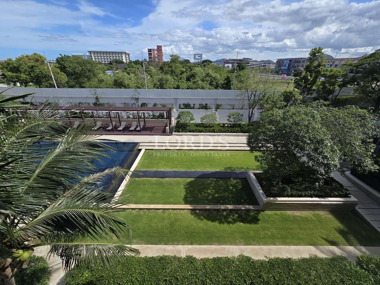 Lush garden with swimming pool view