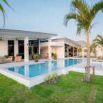 Modern house with pool and palm