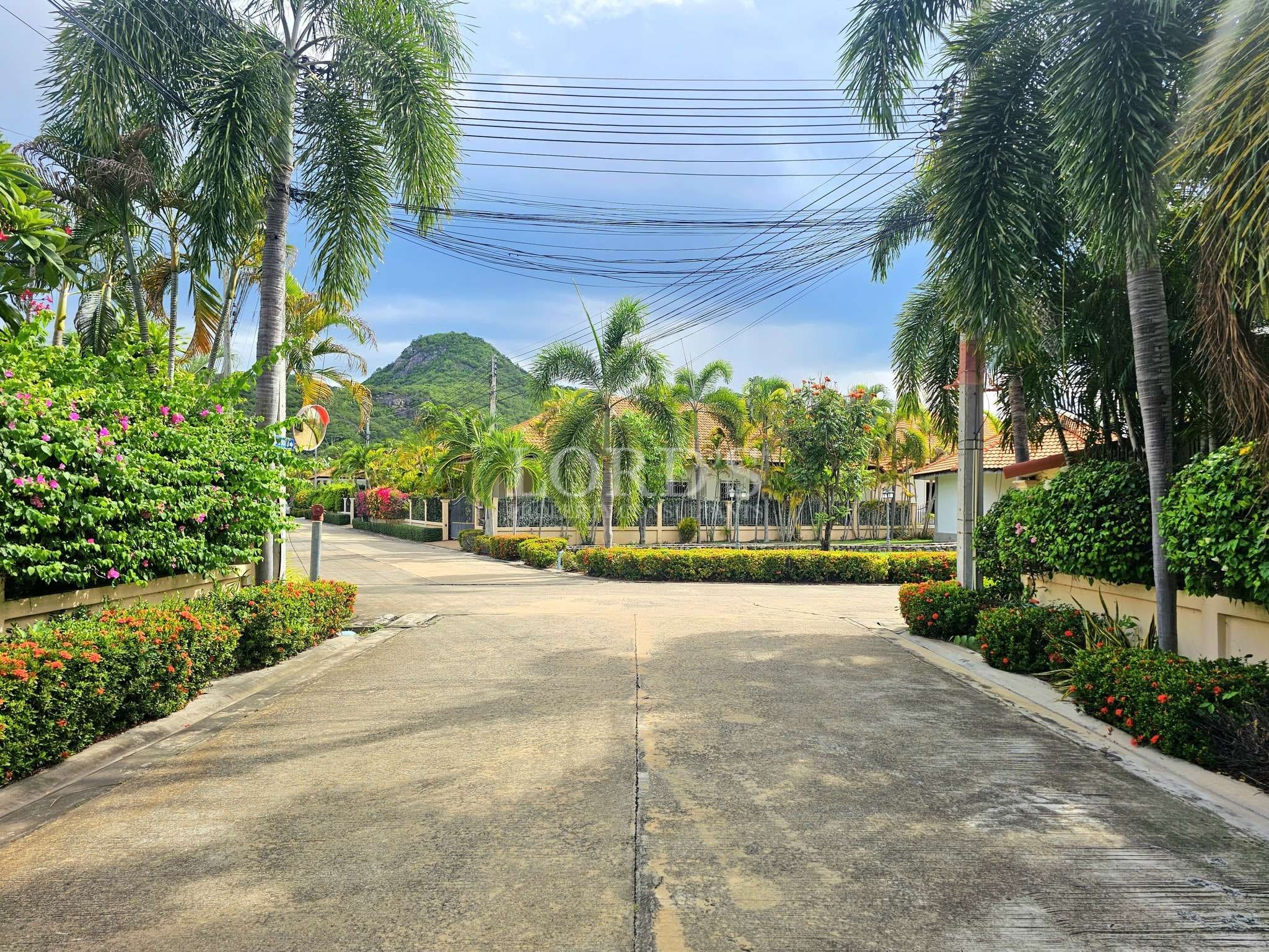 Palm-lined residential street with landscaped gardens and mountain views in a tropical neighborhood.