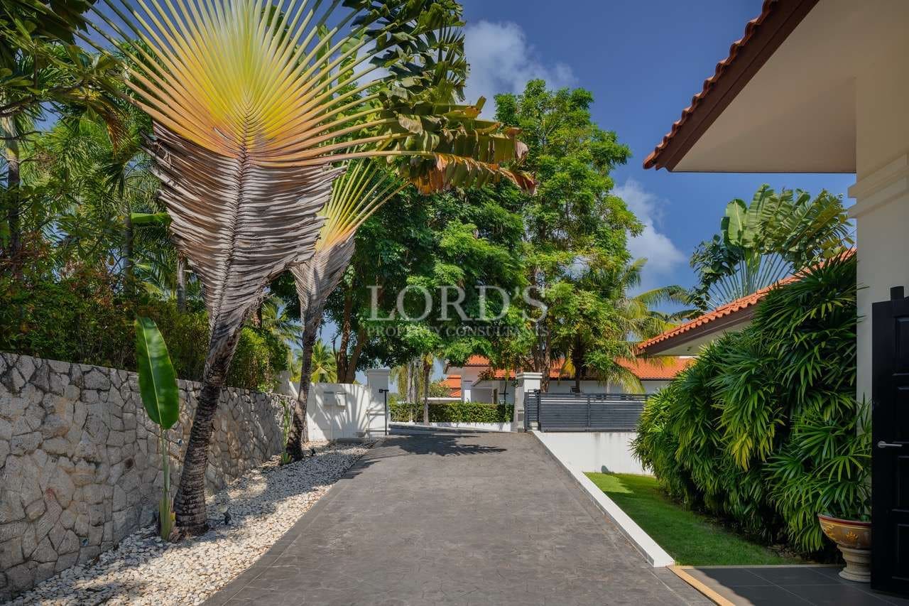 Tropical driveway with lush greenery