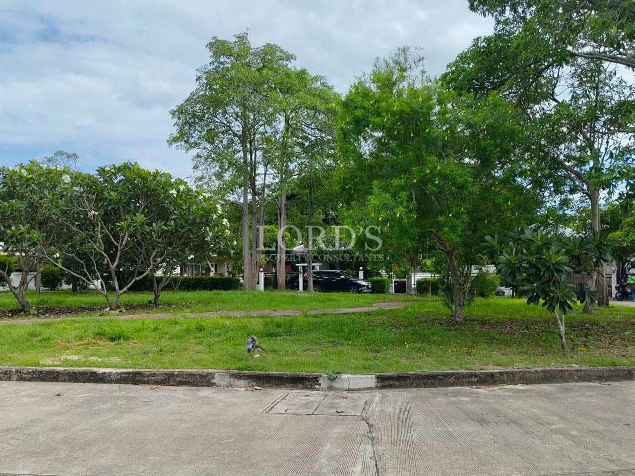 Lush green landscape with trees.