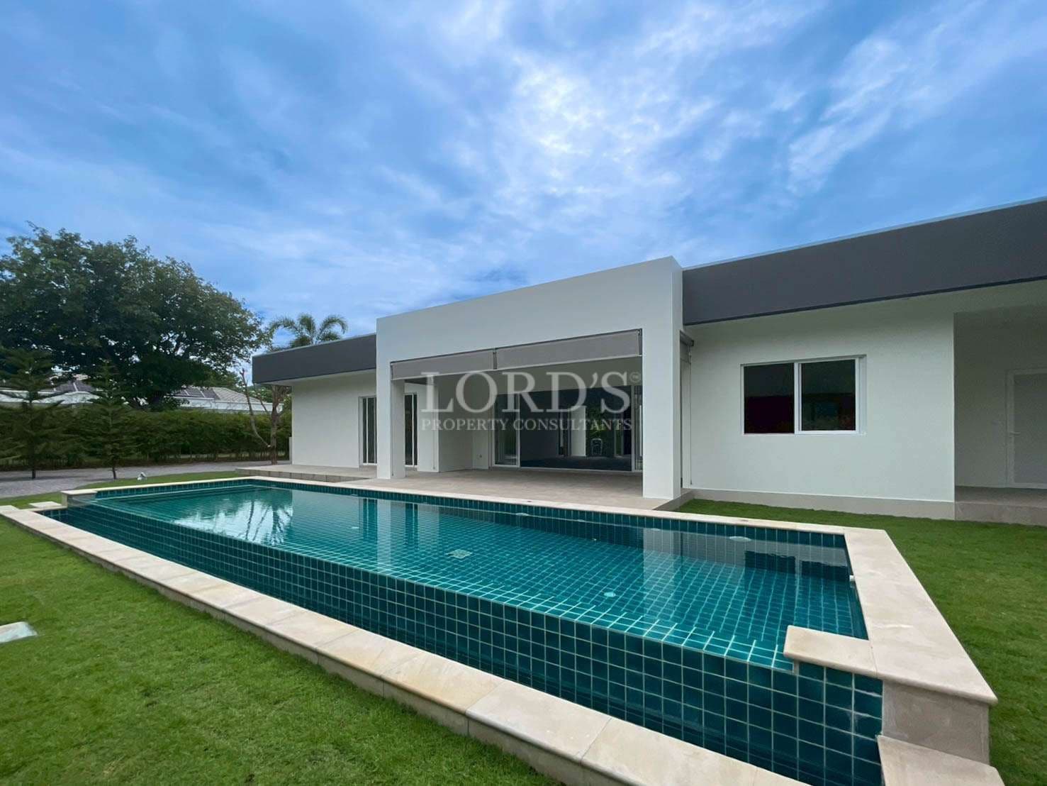 Modern house with swimming pool