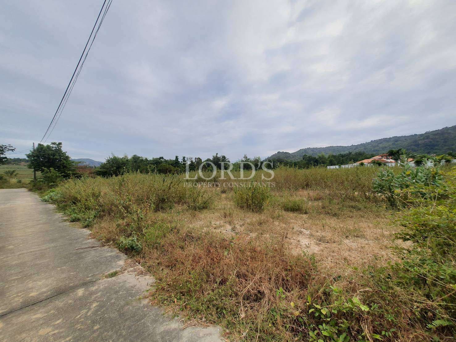 Open field with overgrown vegetation