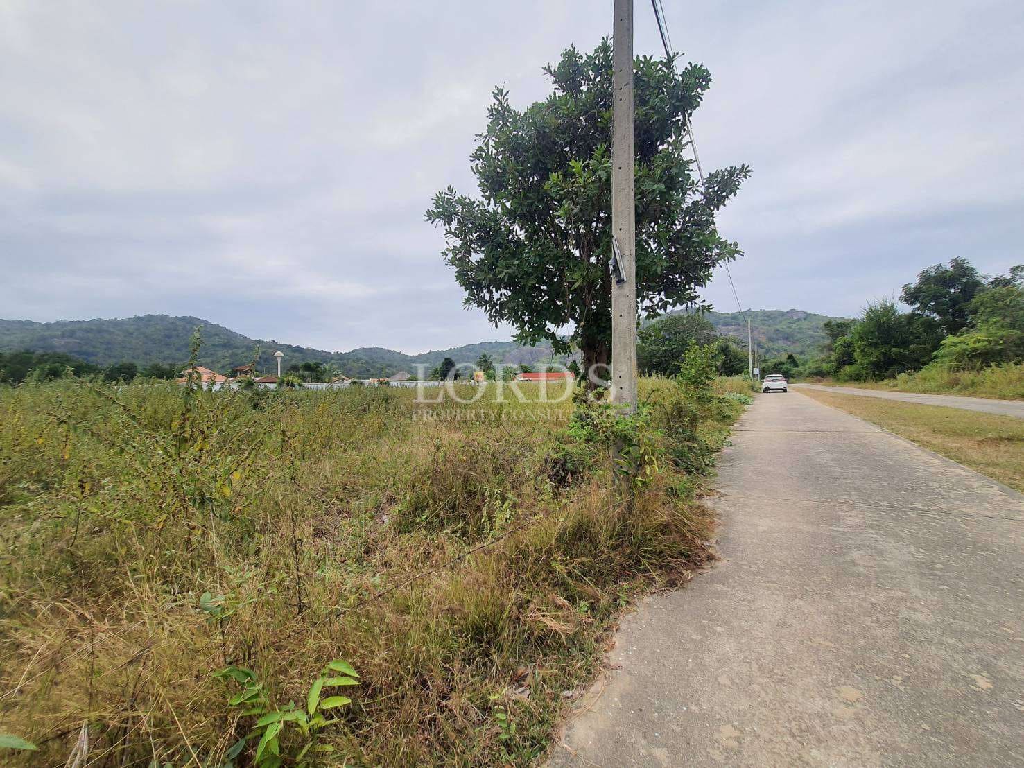 Rural road with greenery and mountains