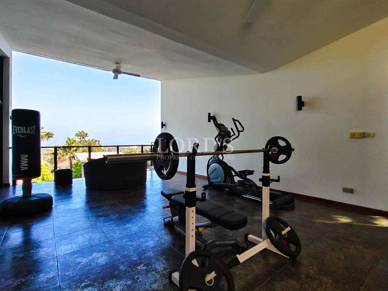 Modern gym with ocean view