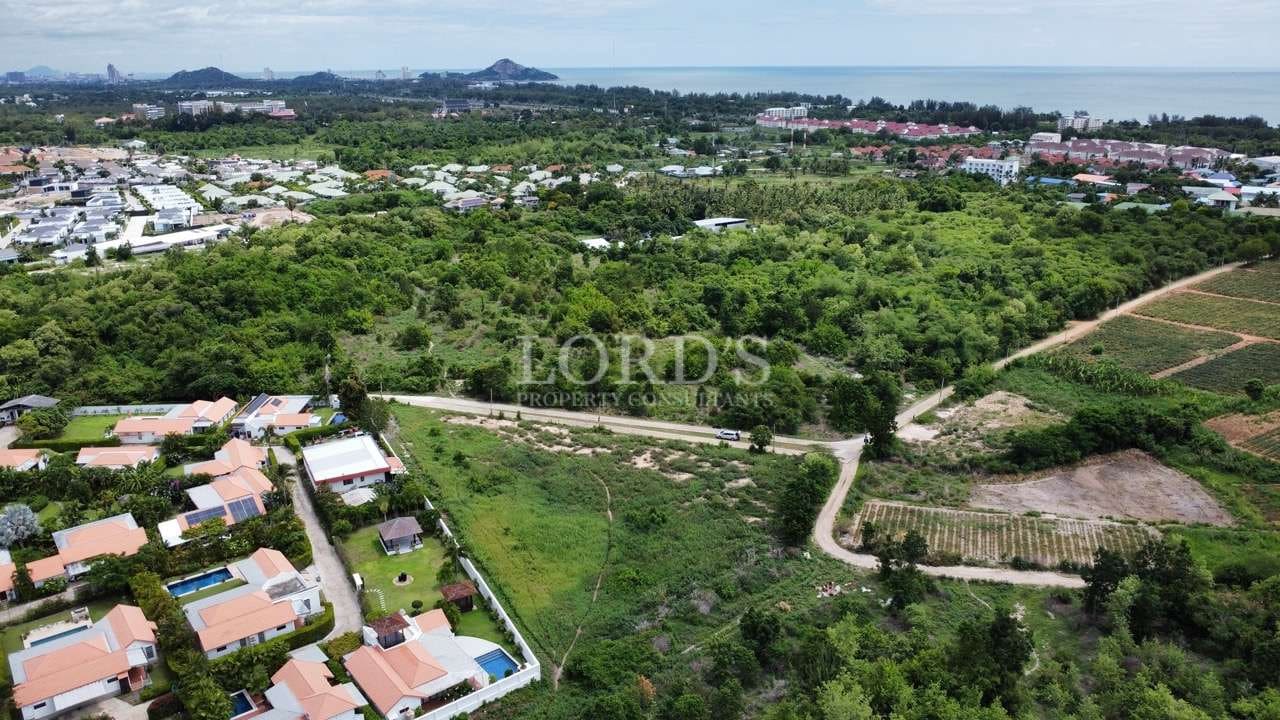 Aerial view of lush green landscape.