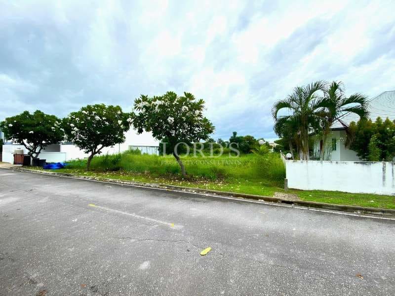 Vacant residential land with green grass and trees along a paved neighborhood road.
