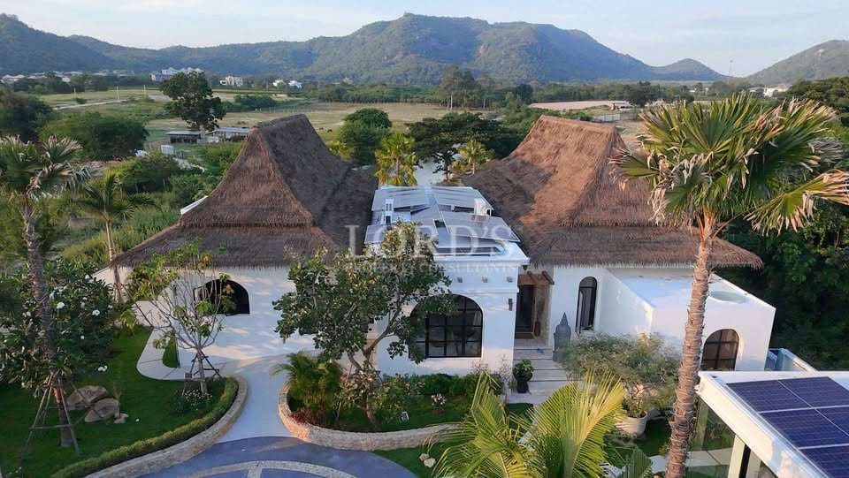 Modern villa with thatched roof