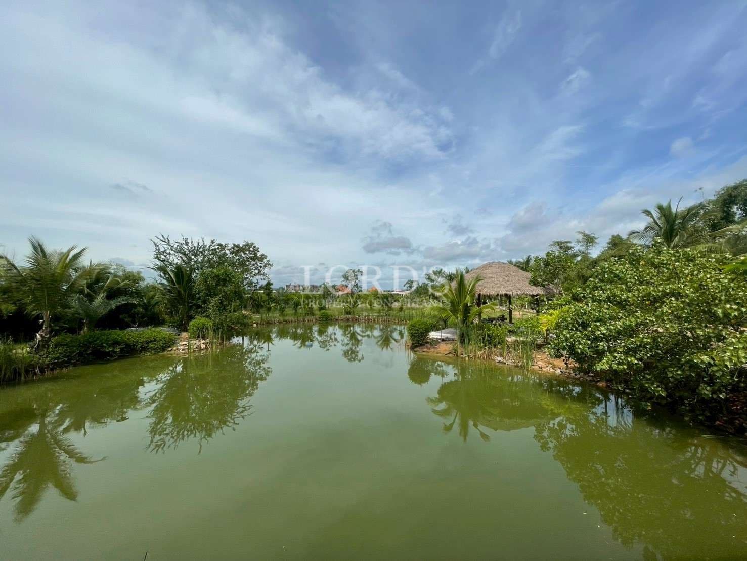 Serene pond surrounded by lush greenery