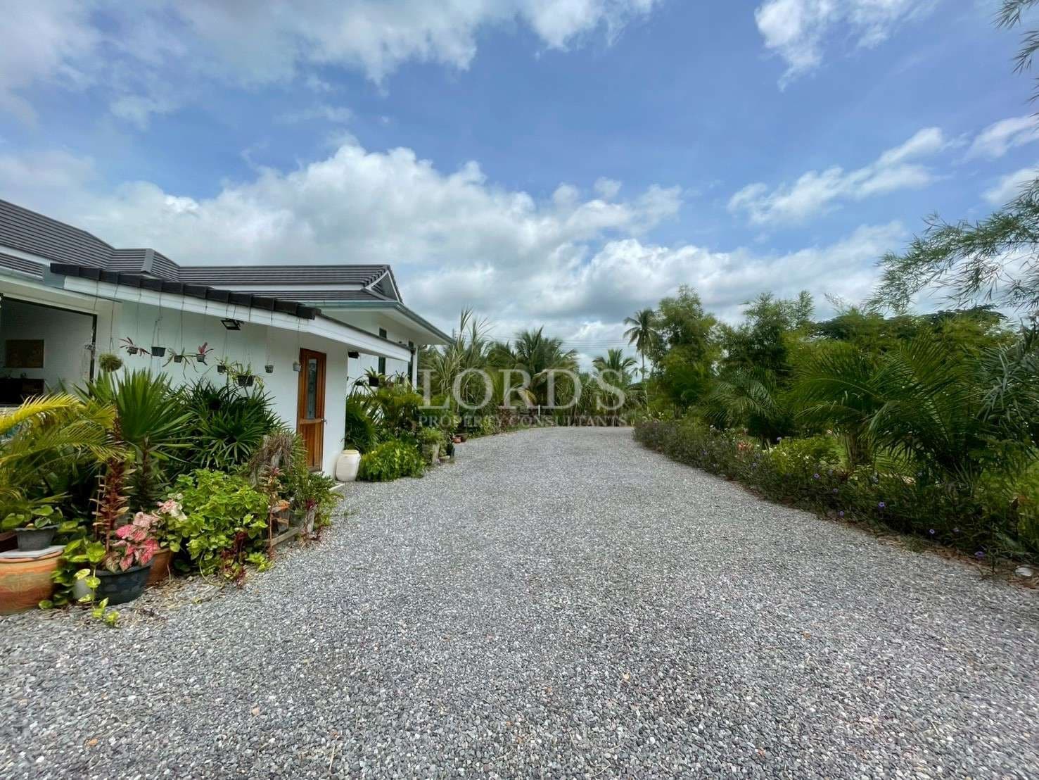 Gravel driveway surrounded by greenery.
