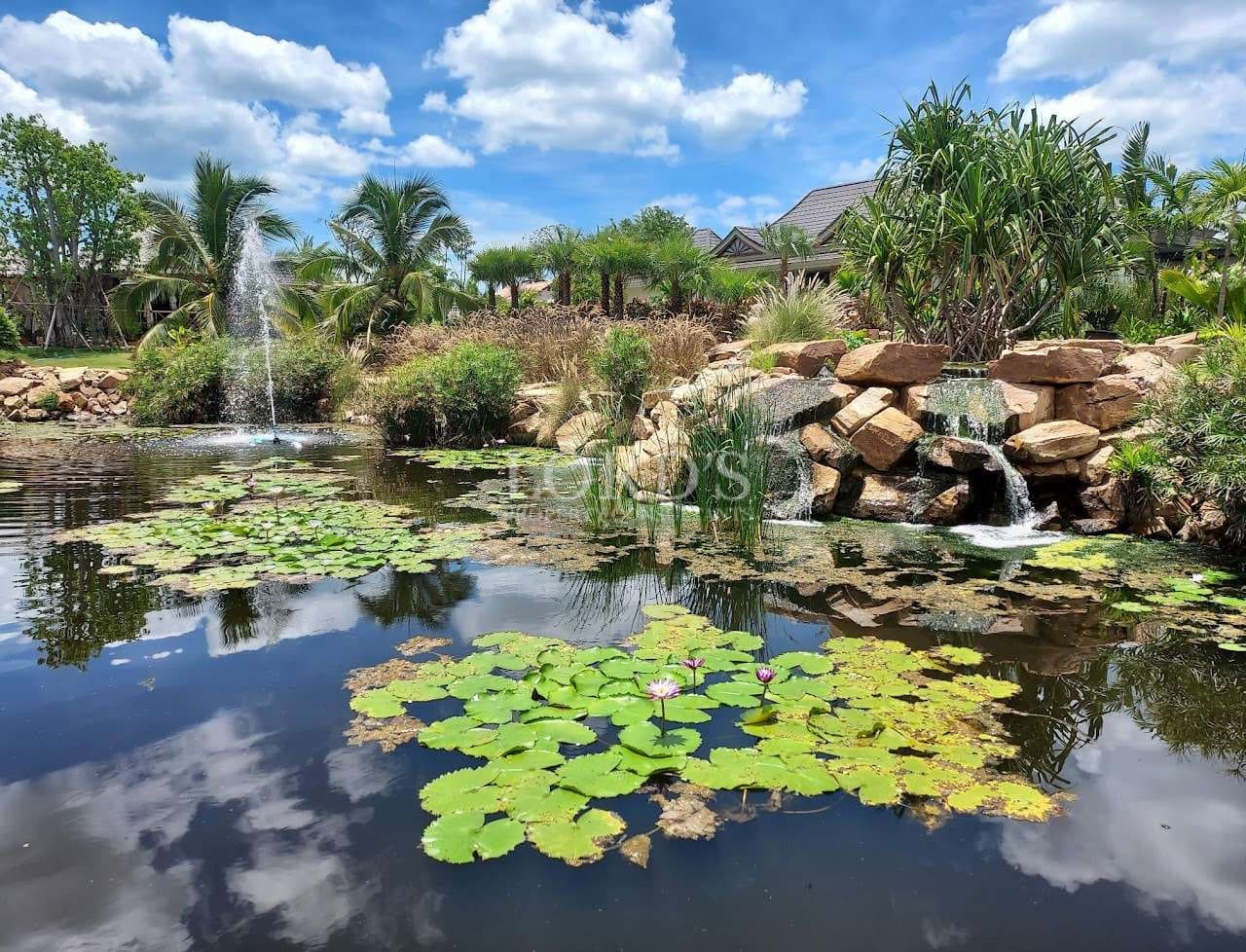 Tropical garden pond with water lilies, rock waterfall, fountain feature, and palm trees under a blue sky.