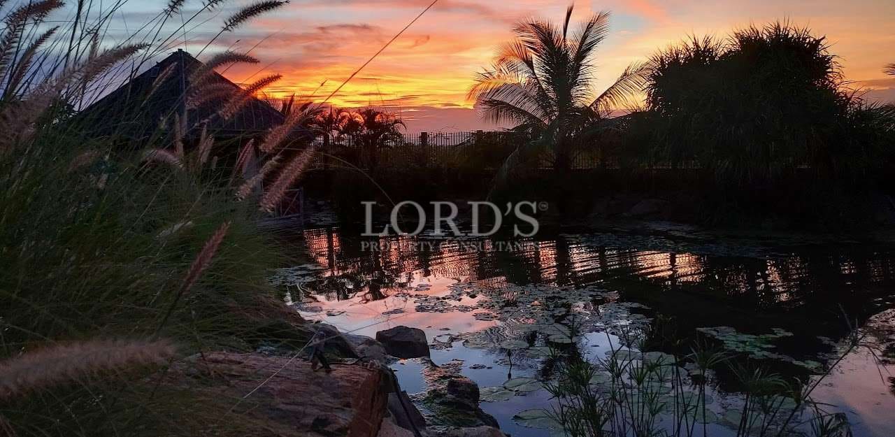 Tropical sunset over a landscaped garden pond with palm trees, ornamental grasses, and water reflections