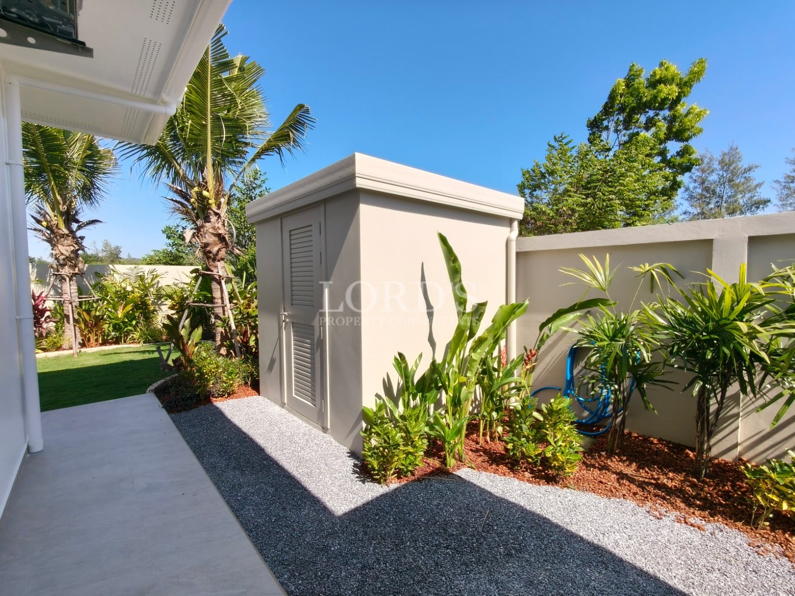 Garden with shed and tropical plants