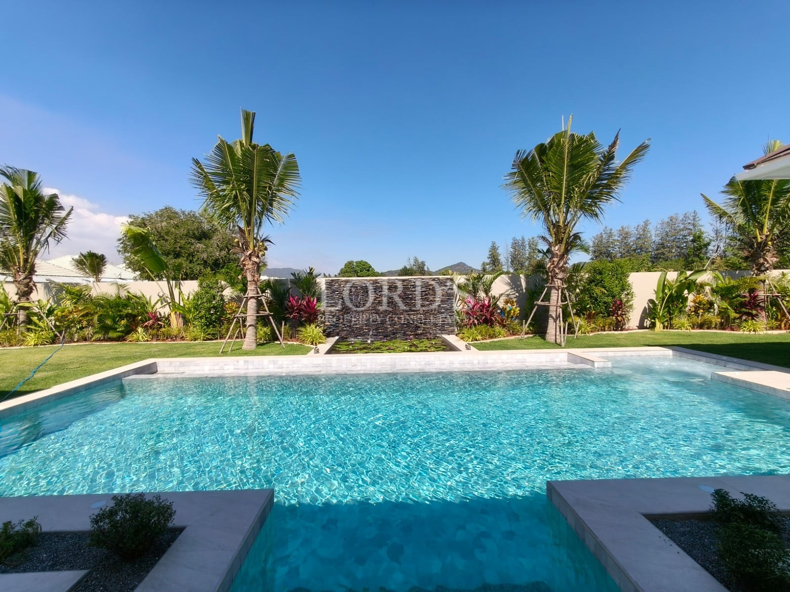 Sunny pool surrounded by tropical plants