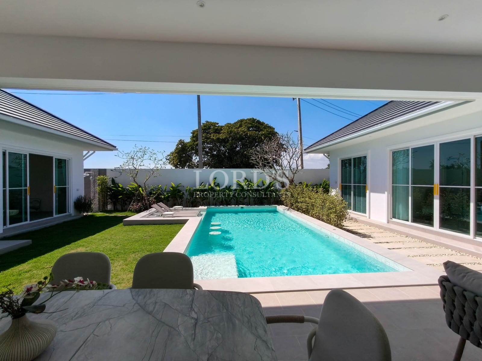 Modern house with pool and garden