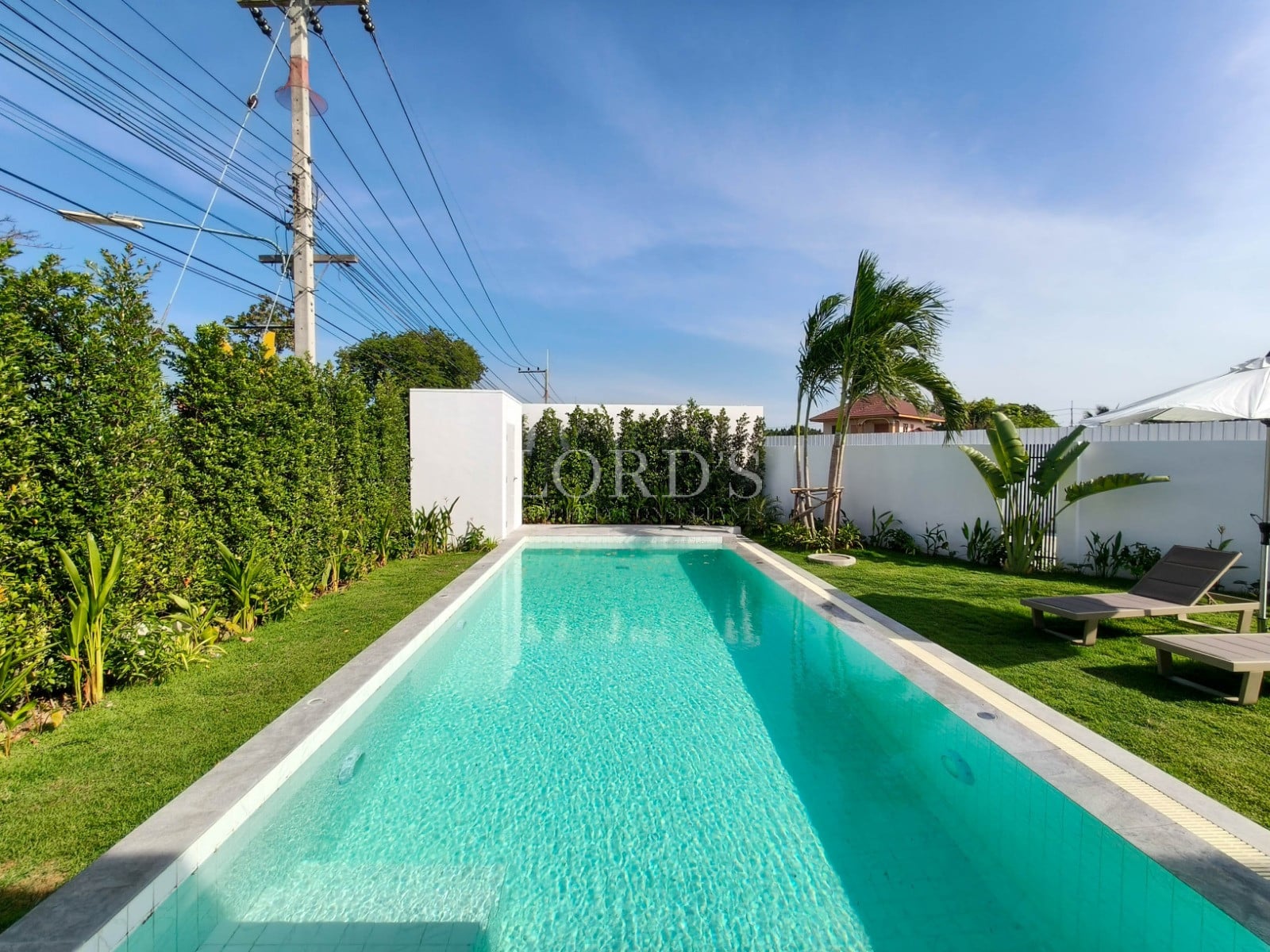 Serene pool surrounded by greenery.