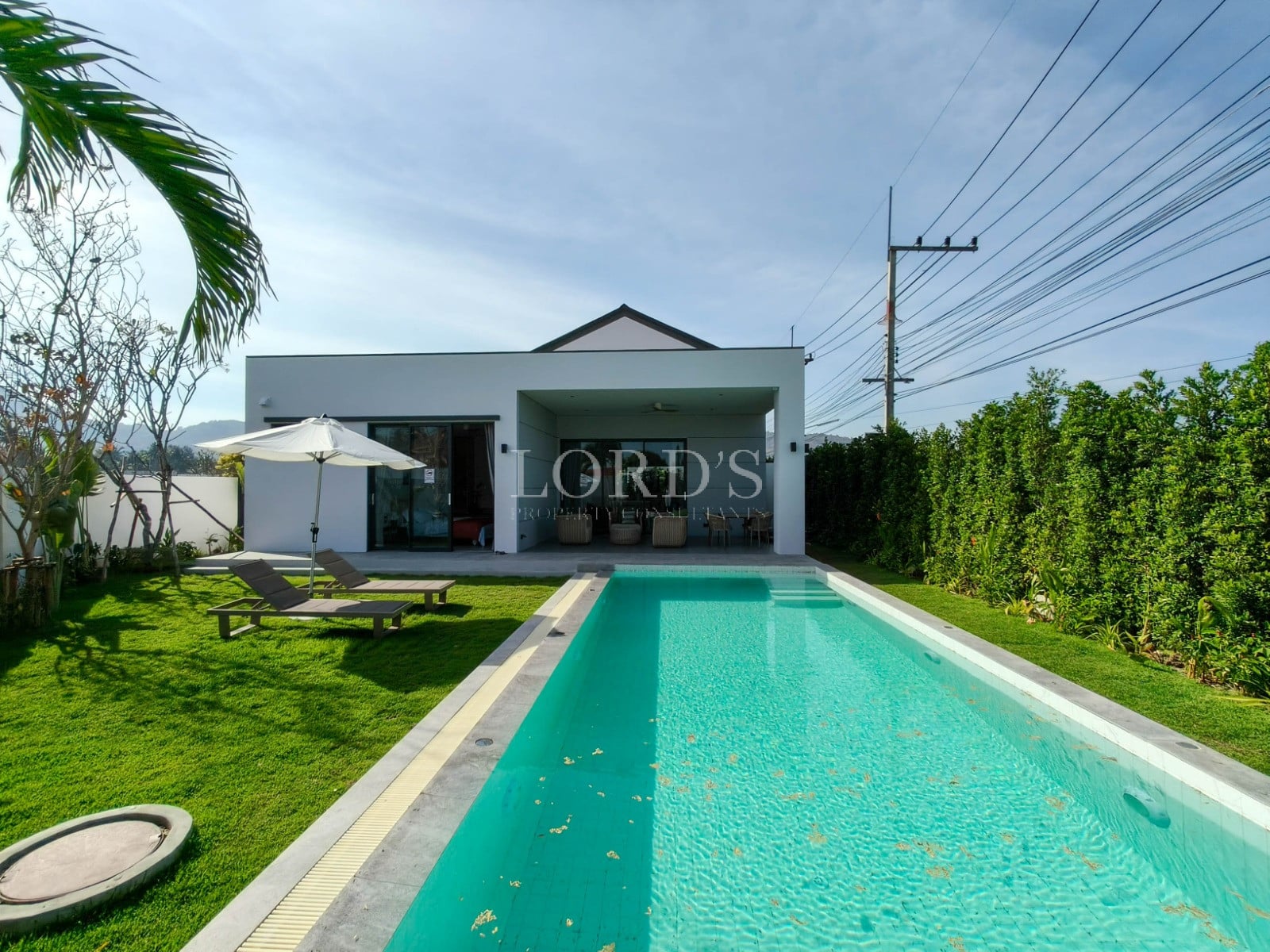 Modern villa with pool and greenery