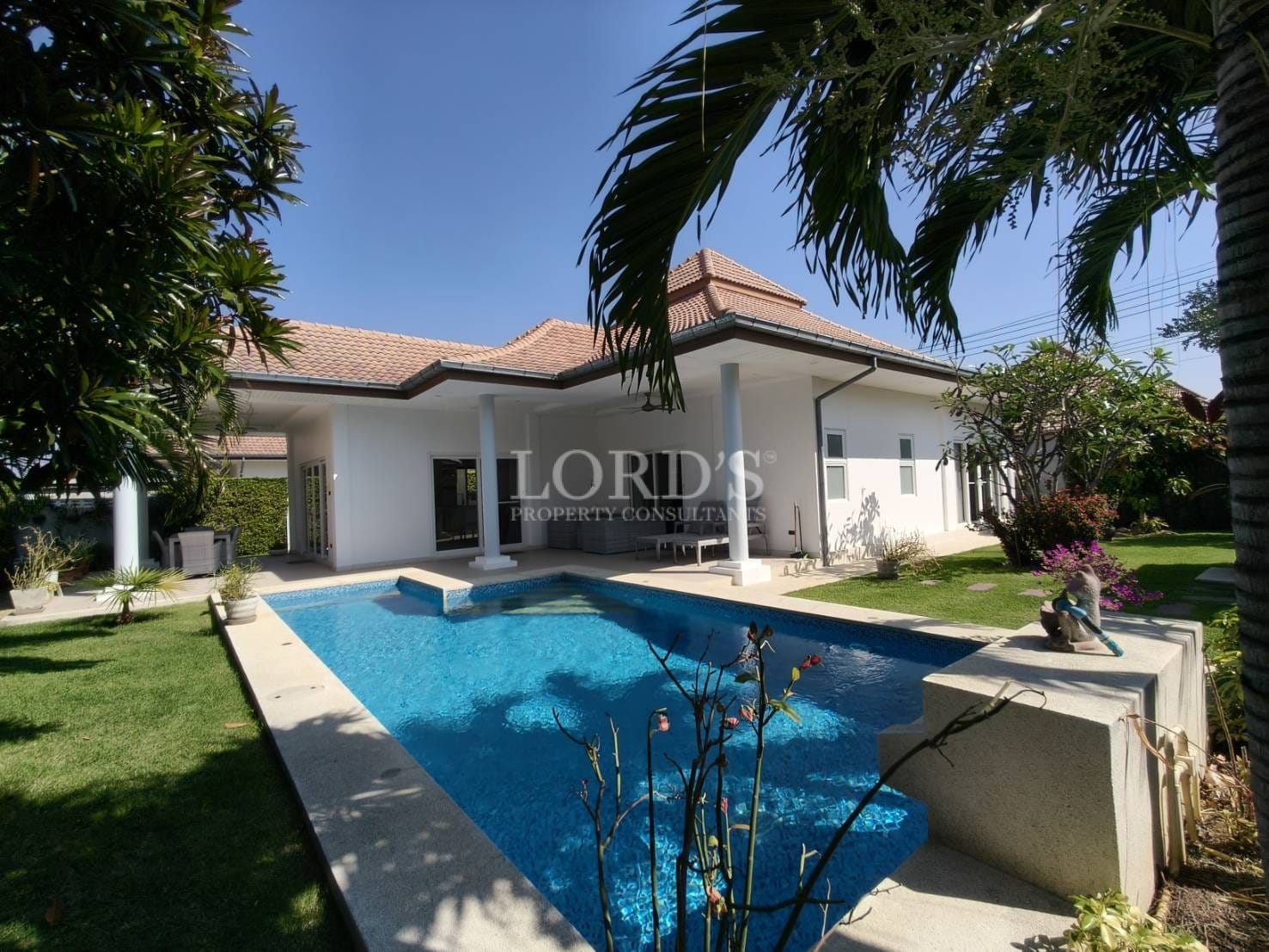 Luxury villa with private swimming pool, covered patio, white exterior, and landscaped tropical garden under a clear blue sky.
