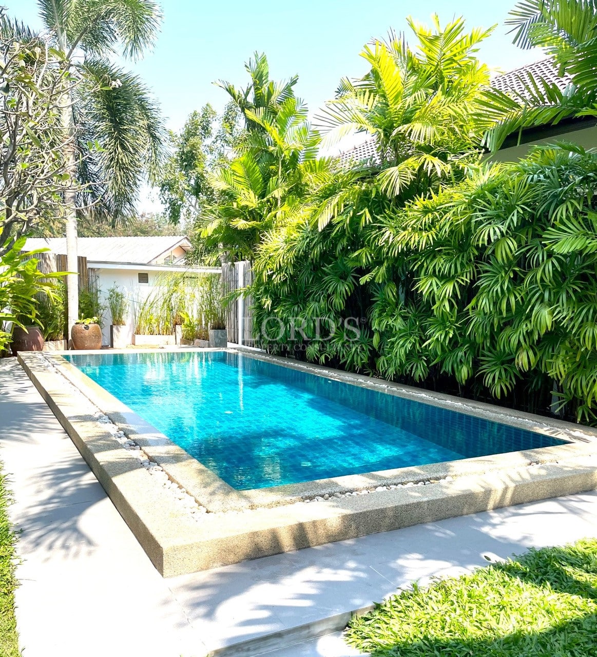 Private rectangular swimming pool surrounded by lush tropical greenery and palm trees.