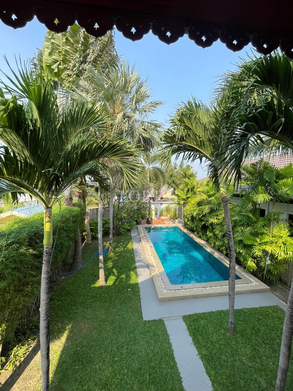 Swimming pool surrounded by palm trees and lush tropical garden, viewed from an elevated balcony.