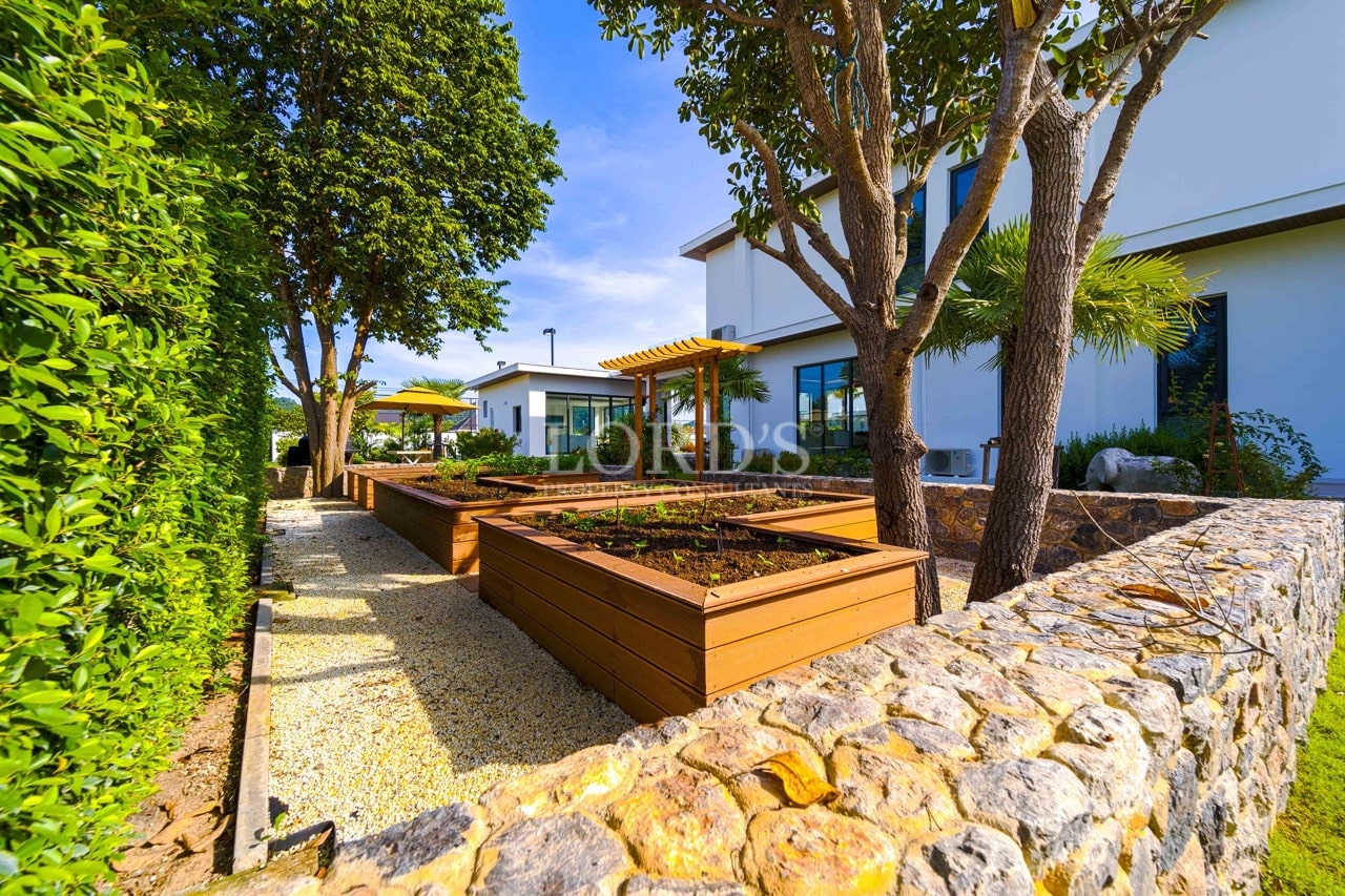 Landscaped garden walkway with raised wooden planters, mature trees, stone wall, and modern villa exterior.